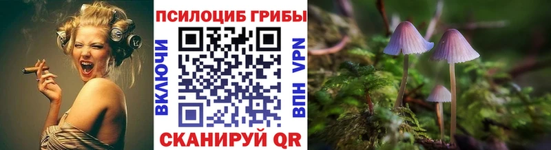 Галлюциногенные грибы мухоморы  Болгар 